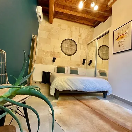 Appartement Grand Confort Au Coeur De *